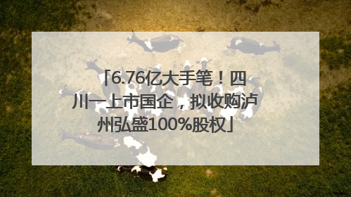 6.76亿大手笔！四川一上市国企，拟收购泸州弘盛100%股权