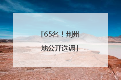 65名！荆州一地公开选调
