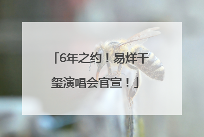 6年之约！易烊千玺演唱会官宣！