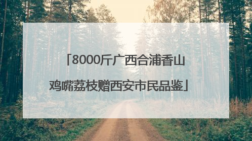 8000斤广西合浦香山鸡嘴荔枝赠西安市民品鉴