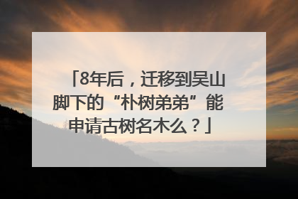 8年后，迁移到吴山脚下的“朴树弟弟”能申请古树名木么？