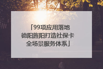 99项应用落地 德阳旌阳打造社保卡全场景服务体系