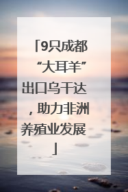 9只成都“大耳羊”出口乌干达，助力非洲养殖业发展