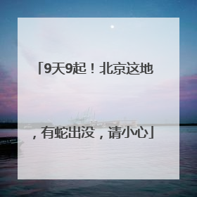 9天9起！北京这地，有蛇出没，请小心