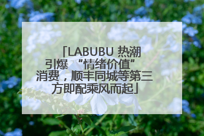 LABUBU 热潮引爆 “情绪价值” 消费，顺丰同城等第三方即配乘风而起