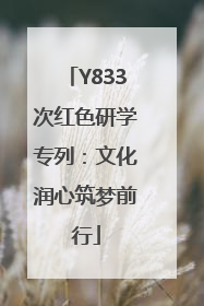 Y833次红色研学专列：文化润心筑梦前行